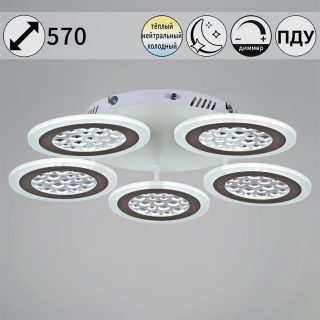 Потолочная люстра Reluce 20491-0.3-05 WT