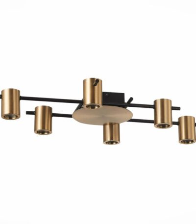 Потолочная люстра ST Luce Veroli SL1207.402.06