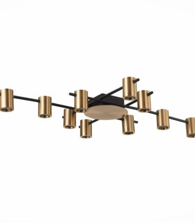 Потолочная люстра ST Luce Veroli SL1207.402.10