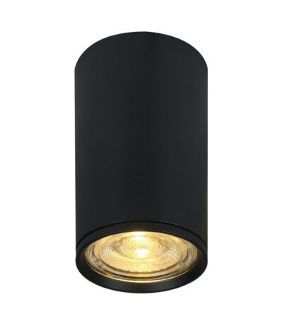 Потолочный светильник 20001 20001SMU/01 SBK