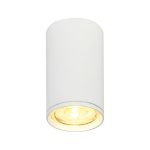 Потолочный светильник 20001 20001SMU/01 SWH