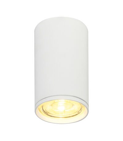 Потолочный светильник 20001 20001SMU/01 SWH