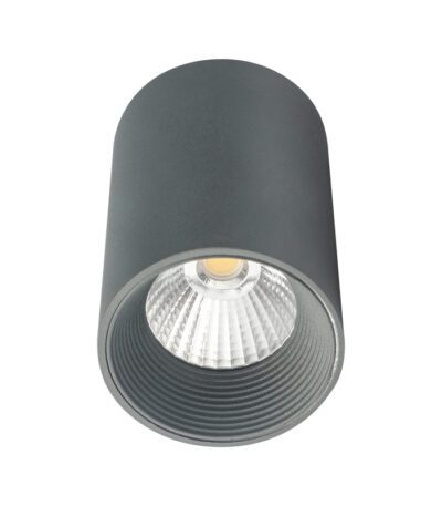 Потолочный светильник 20003 20003SMU/01LED SGY