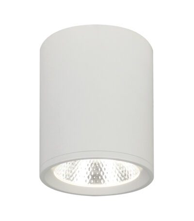 Потолочный светильник 20003 20003SMU/02LED SWH