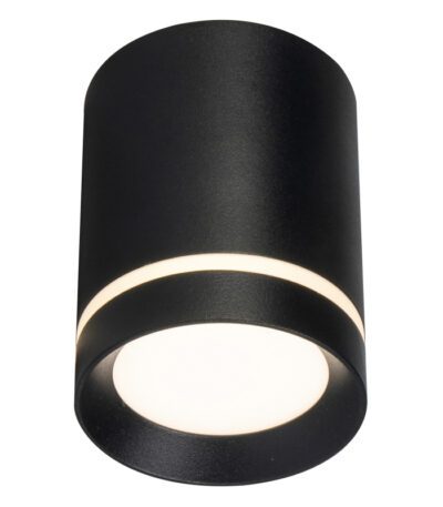 Потолочный светильник 20009 20009SMU/01LED SBK