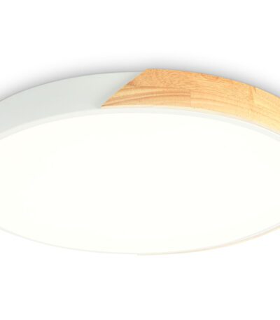 Потолочный светильник Ambrella Light Orbital Design FZ1301