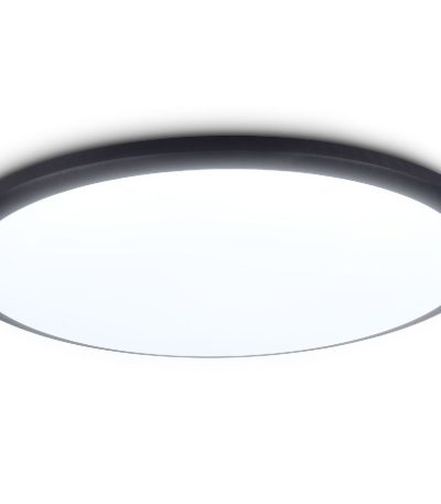 Потолочный светильник Ambrella Light Orbital Air FZ1235