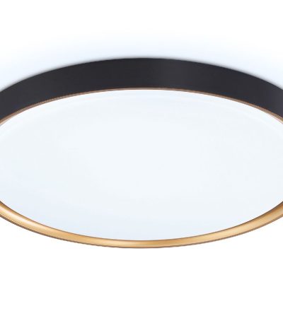 Потолочный светильник Ambrella Light Orbital Air FZ1249