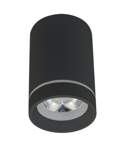 Потолочный светильник Aployt Edda APL.0053.19.10