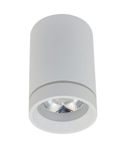 Потолочный светильник Aployt Edda APL.0054.09.10