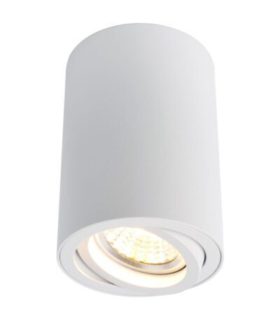 Потолочный светильник Arte Lamp A1560PL-1WH