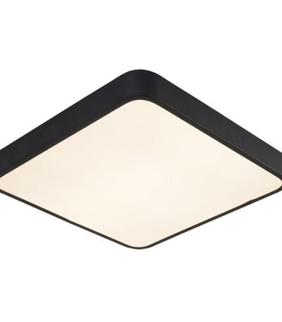 Потолочный светильник Arte Lamp A2663PL-1BK