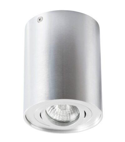 Потолочный светильник Arte Lamp A5644PL-1SI