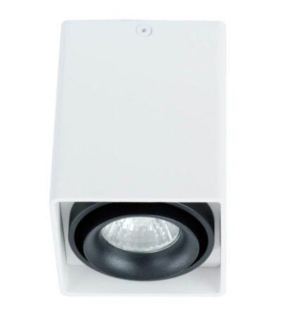 Потолочный светильник Arte Lamp A5655PL-1WH