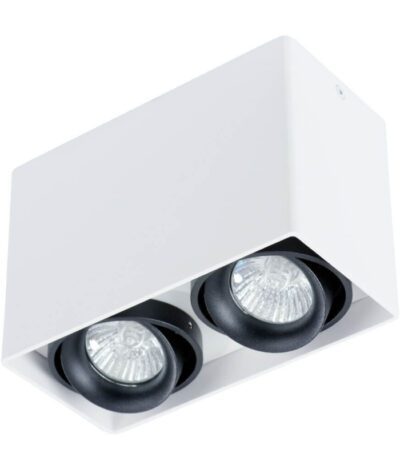 Потолочный светильник Arte Lamp A5655PL-2WH