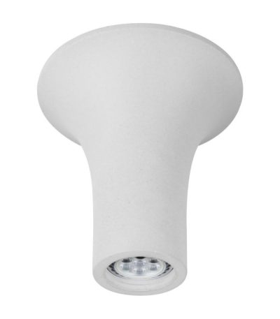 Потолочный светильник Arte Lamp A9461PL-1WH