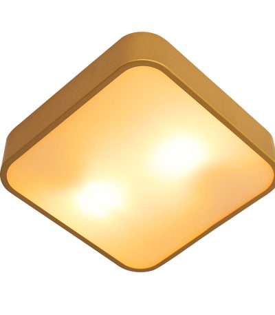 Потолочный светильник Arte Lamp Cosmopolitan A7210PL-2GO