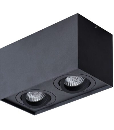 Потолочный светильник Arte Lamp Factor A5544PL-2BK