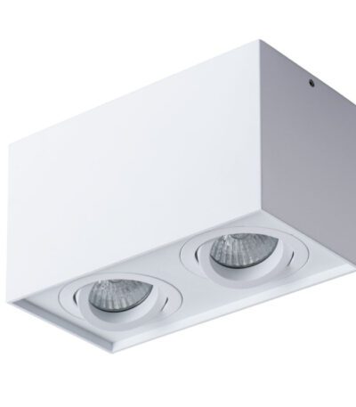 Потолочный светильник Arte Lamp Factor A5544PL-2WH