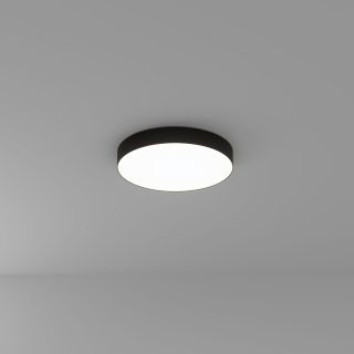 Потолочный светильник Arte Lamp Fado A7350PL-1BK