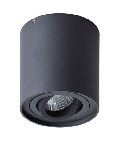 Потолочный светильник Arte Lamp Falcon A5645PL-1BK