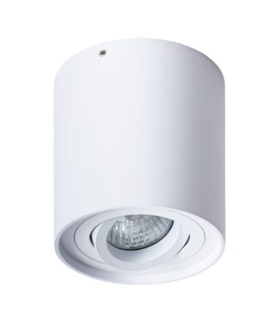 Потолочный светильник Arte Lamp Falcon A5645PL-1WH