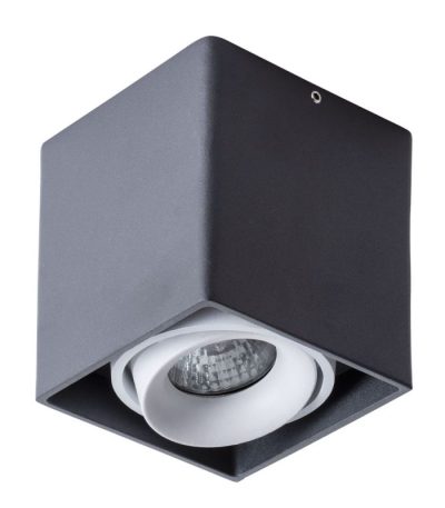 Потолочный светильник Arte Lamp Pictor A5654PL-1BK