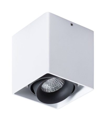 Потолочный светильник Arte Lamp Pictor A5654PL-1WH