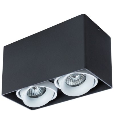 Потолочный светильник Arte Lamp Pictor A5654PL-2BK