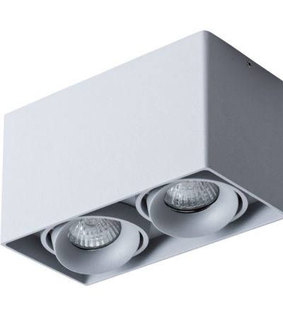 Потолочный светильник Arte Lamp Pictor A5654PL-2GY