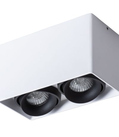 Потолочный светильник Arte Lamp Pictor A5654PL-2WH