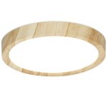 Потолочный светильник Citilux Бейсик CL738122N