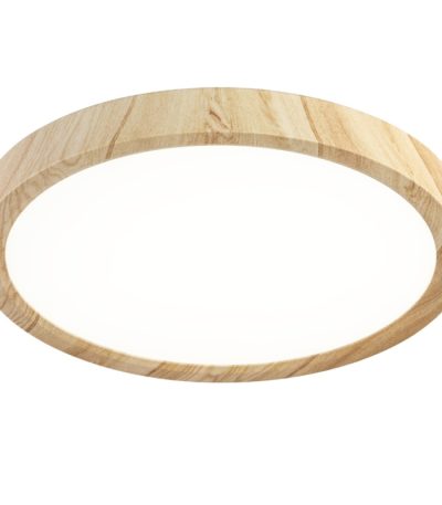 Потолочный светильник Citilux Бейсик CL738182V