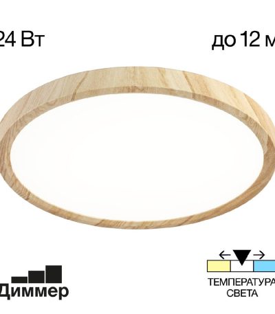 Потолочный светильник Citilux Бейсик CL738242V