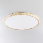 Потолочный светильник Citilux Бейсик CL738322V