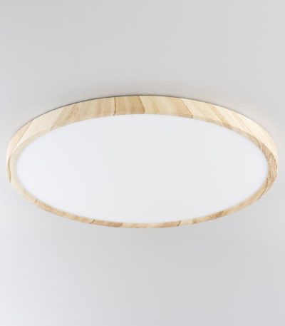 Потолочный светильник Citilux Бейсик CL738322V