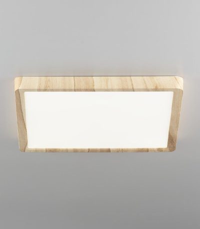 Потолочный светильник Citilux Бейсик CL738K242V