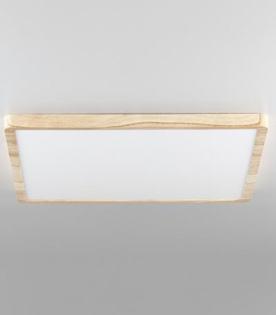 Потолочный светильник Citilux Бейсик CL738K502V