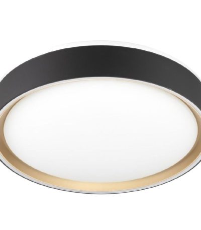 Потолочный светильник Citilux Boss CL751251G