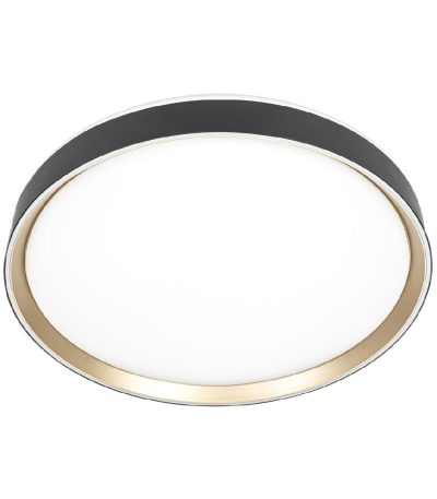 Потолочный светильник Citilux Boss CL751451G