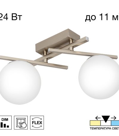 Потолочный светильник Citilux Dorsy CL223121