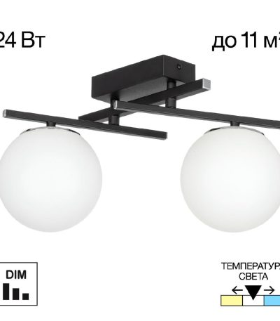 Потолочный светильник Citilux Dorsy CL223122
