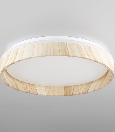 Потолочный светильник Citilux Enzo CL753352G