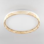 Потолочный светильник Citilux Enzo CL753452G