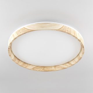 Потолочный светильник Citilux Enzo CL753452G