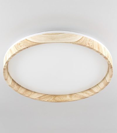 Потолочный светильник Citilux Enzo CL753452G