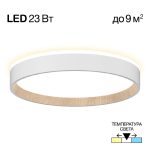 Потолочный светильник Citilux Etalon CL750240