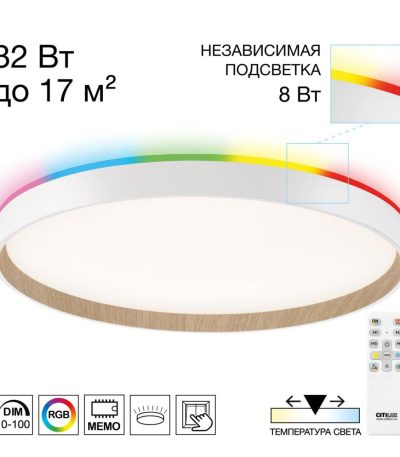 Потолочный светильник Citilux Etalon CL750400R