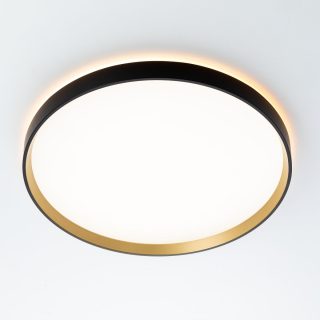 Потолочный светильник Citilux Etalon CL750401R