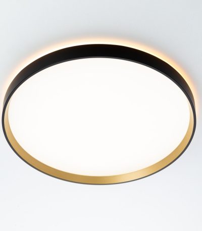 Потолочный светильник Citilux Etalon CL750401R